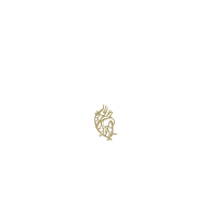 Grupo Hotelero Madre Tierra Logo