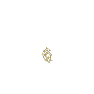 Logo Grupo Hotelero